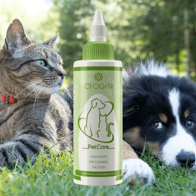 Chogan Pet Care Ear Cleaning Solution – Dogs &amp; Cats | Pet Care &amp; Health
